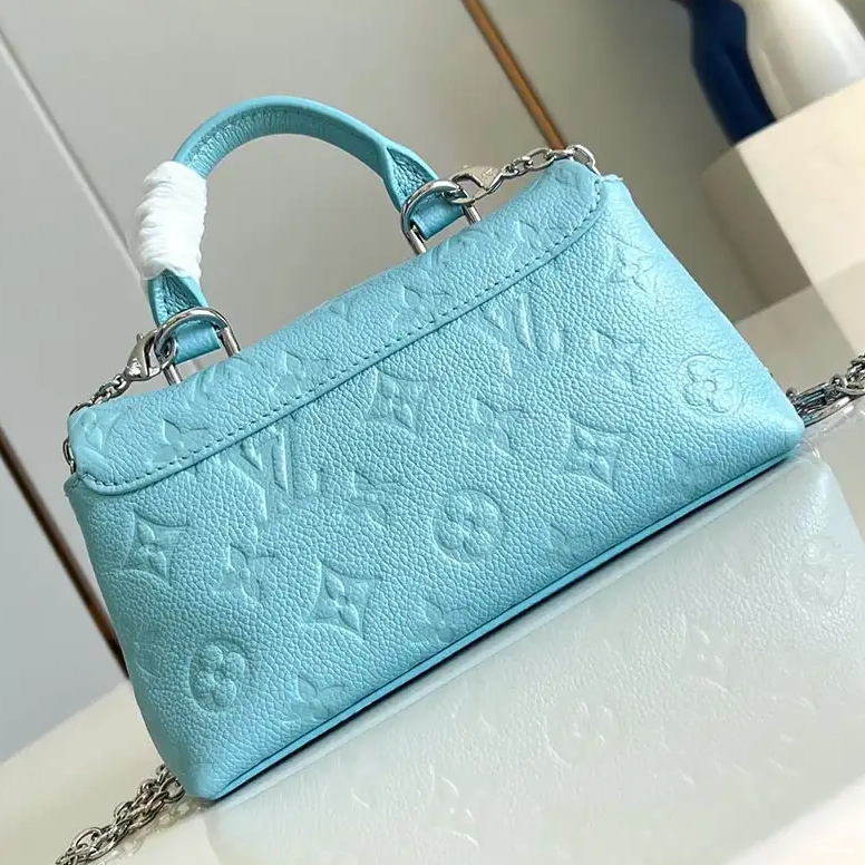 Bags 2411YA0294 LV 0814